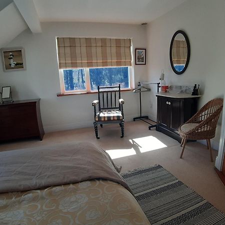 Monasterevin Kyleard Ryan Bed & Breakfast エクステリア 写真