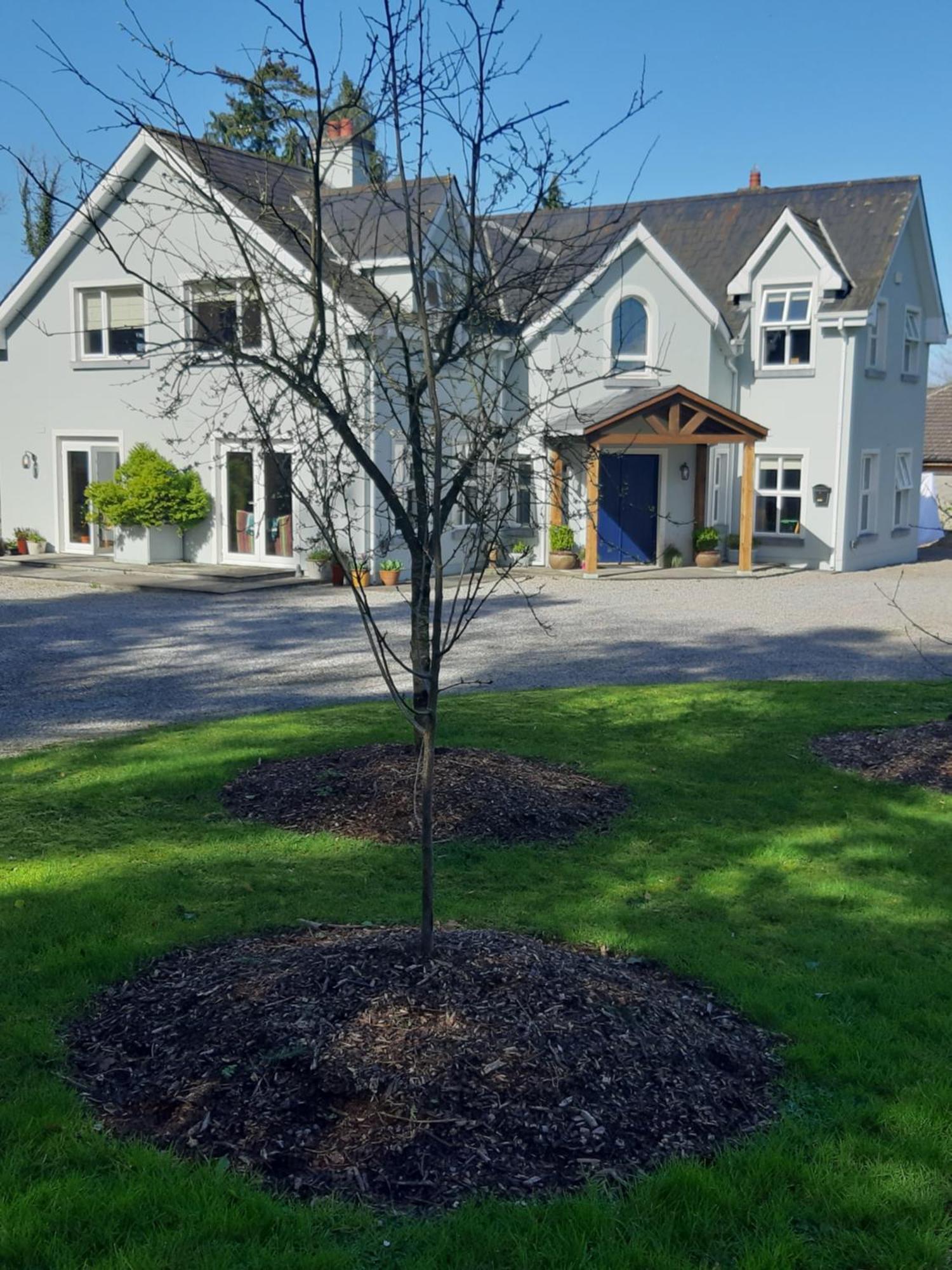 Monasterevin Kyleard Ryan Bed & Breakfast エクステリア 写真