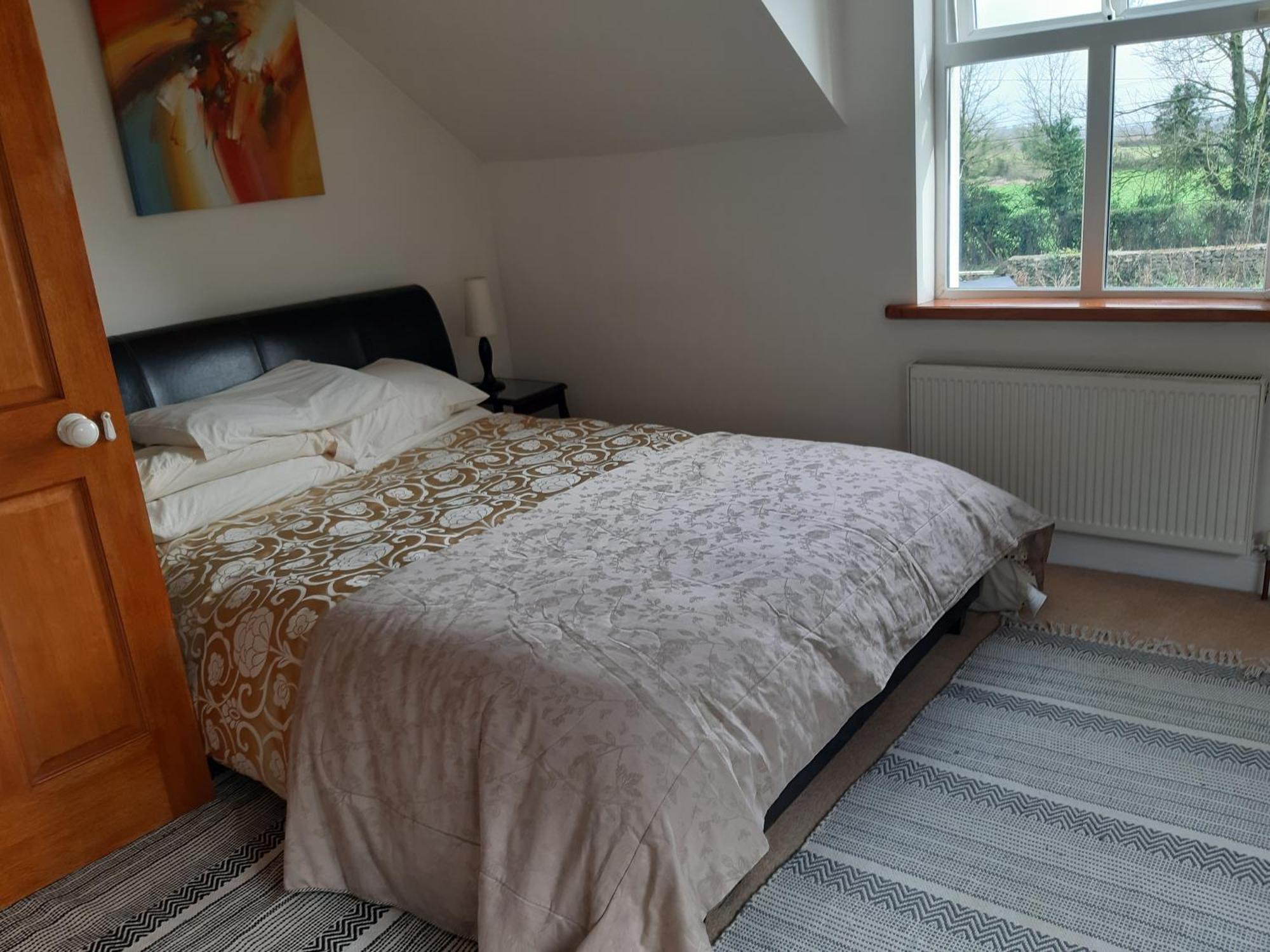 Monasterevin Kyleard Ryan Bed & Breakfast エクステリア 写真